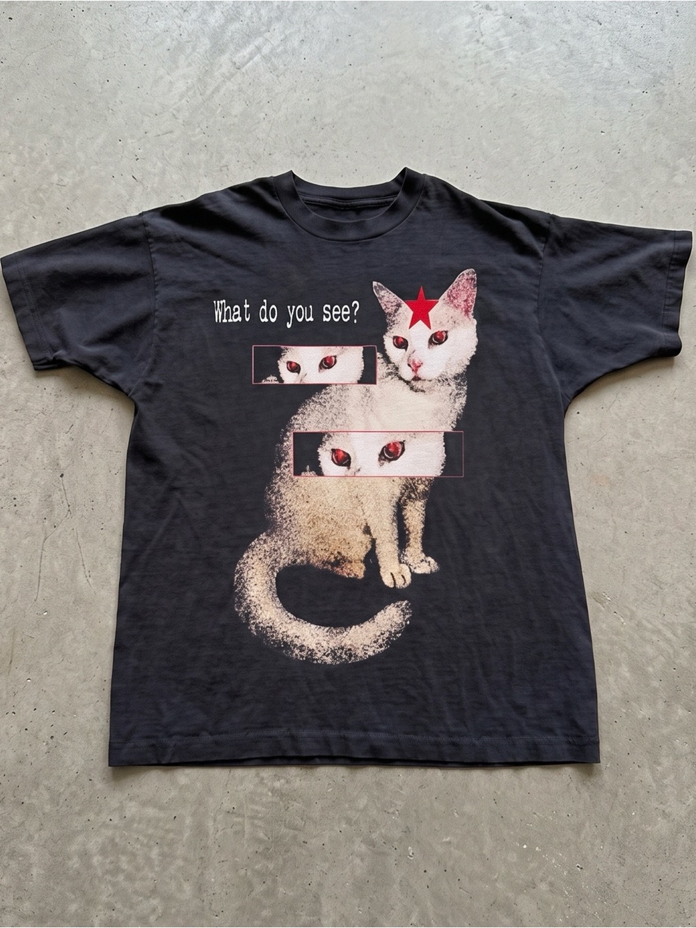 What Do You See Creepy Red Eye Cat Weirdcore Grunge Faded Black Graphic T-Shirt
